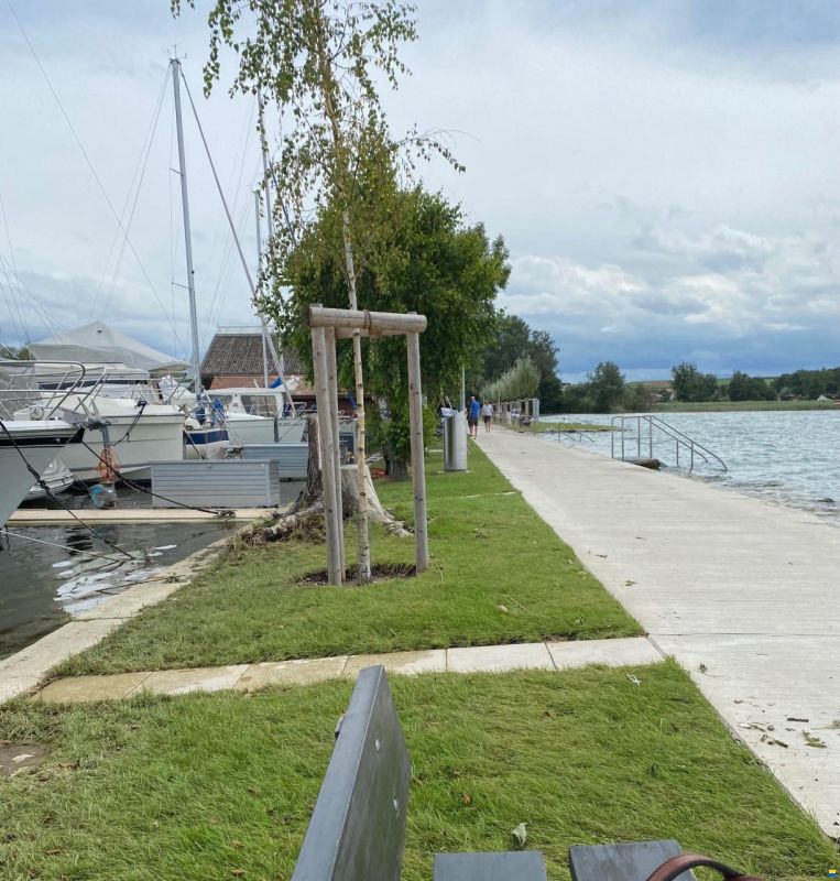 Delphia Platinum 989