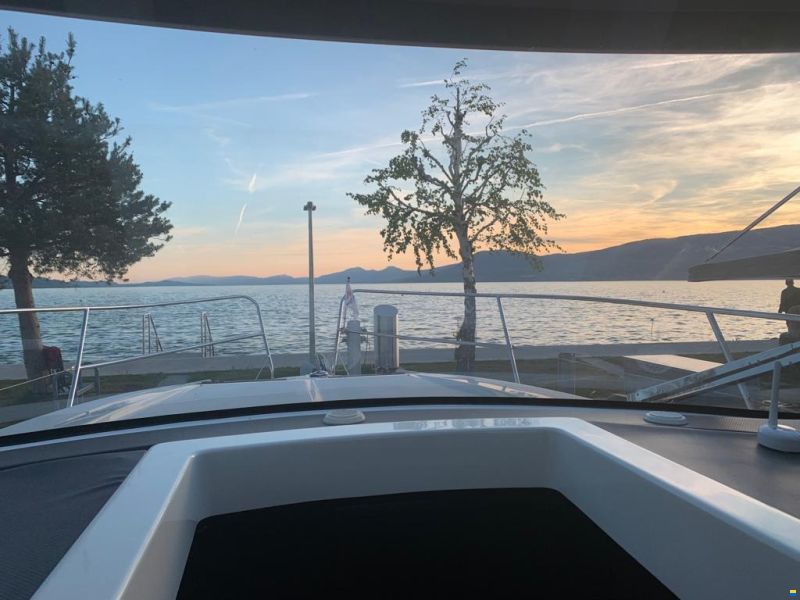 Delphia Platinum 989