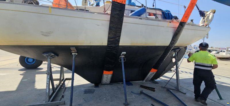 Great Dane 28