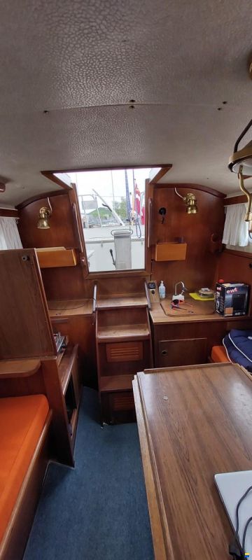 Great Dane 28