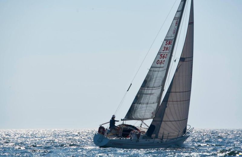 Norlin Scampi Norlin Mark IV