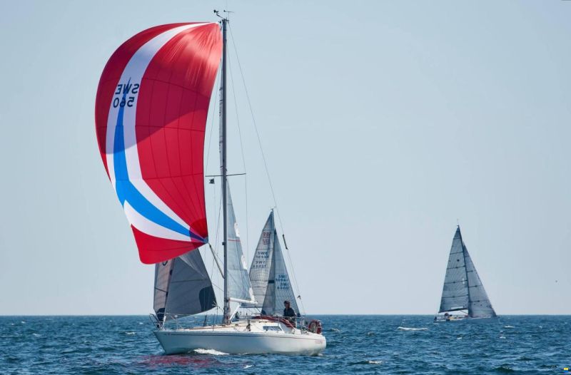 Norlin Scampi Norlin Mark IV
