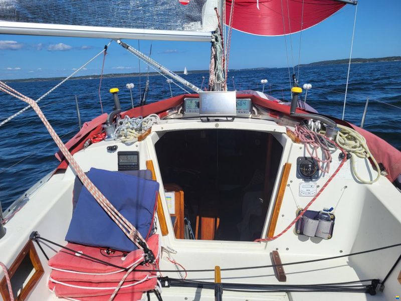 Norlin Scampi Norlin Mark IV