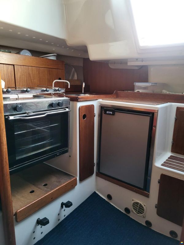 Norlin Scampi Norlin Mark IV