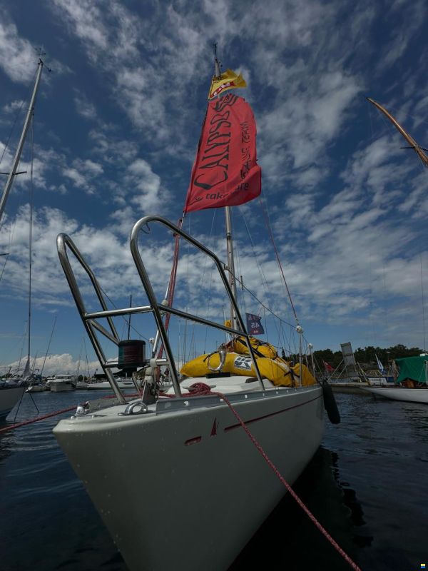 Norlin Scampi Norlin Mark IV