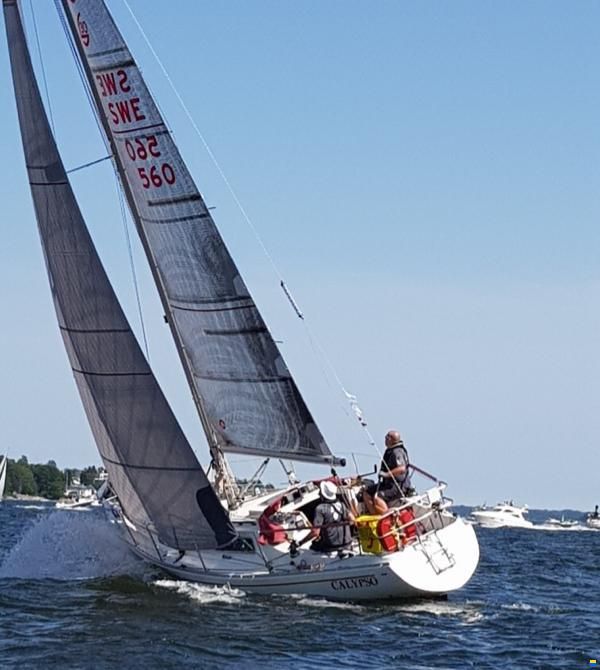 Norlin Scampi Norlin Mark IV