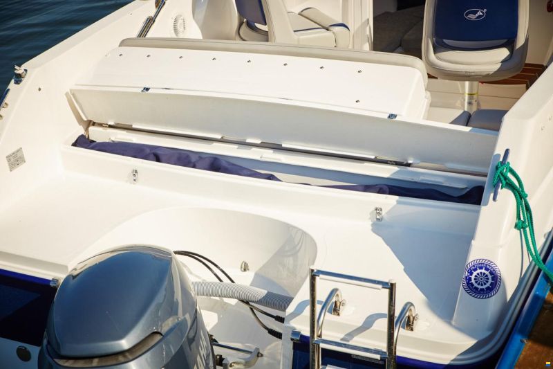 Pegazus 550