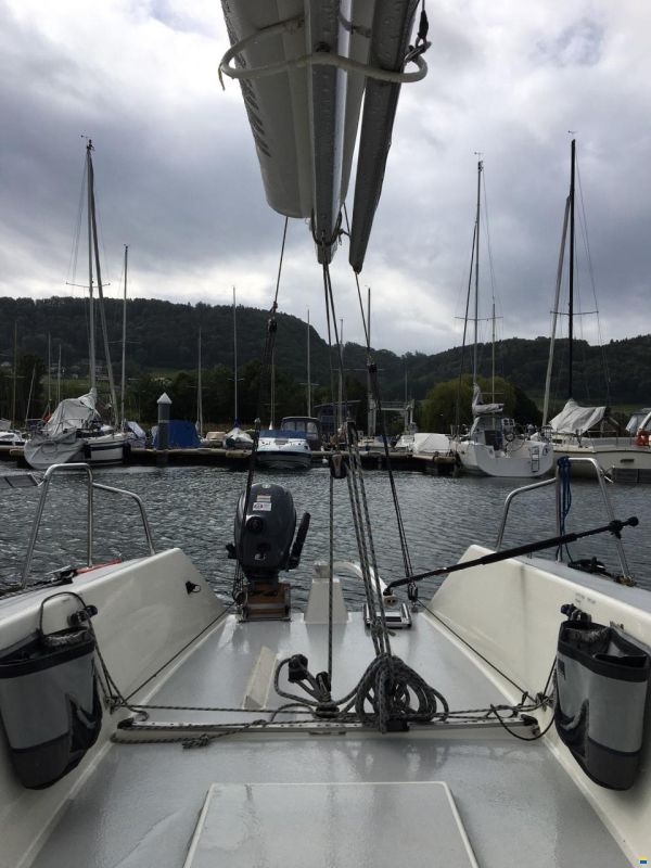 Protagonist One Design 7.50