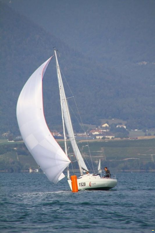 Protagonist One Design 7.50