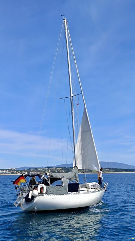 MAMBA 341