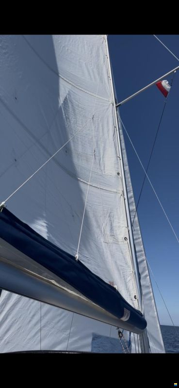 Imexus 28