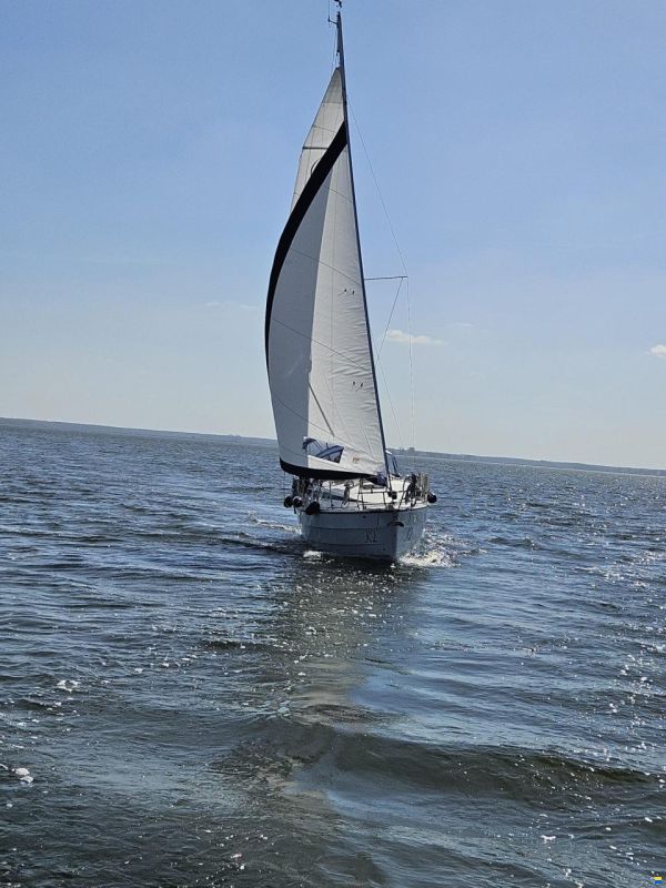 Imexus 28
