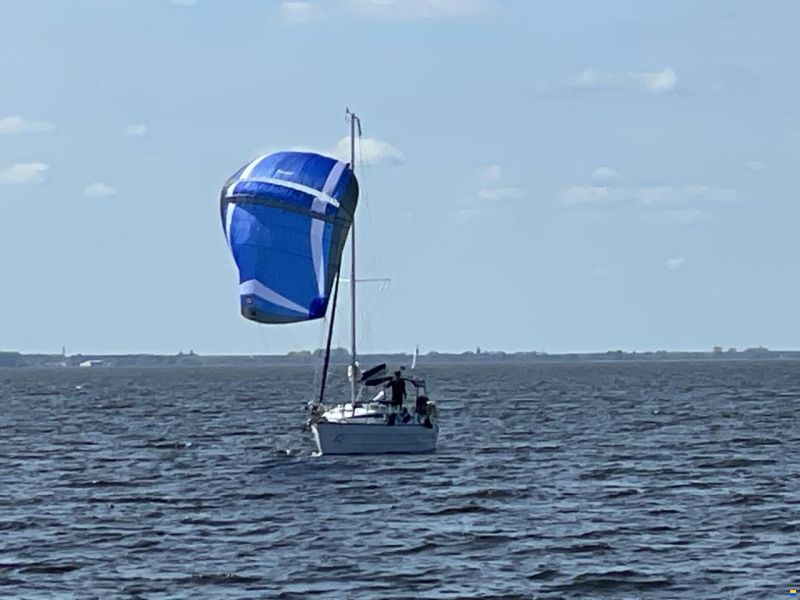 Imexus 28