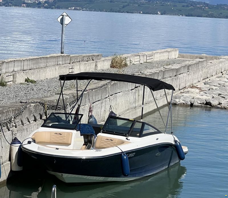 Sea Ray SPX 190 Europa