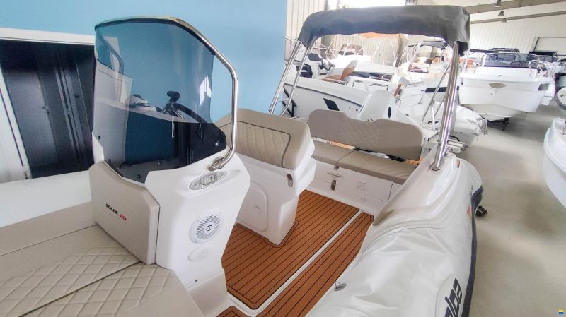 Salpa Soleil 20