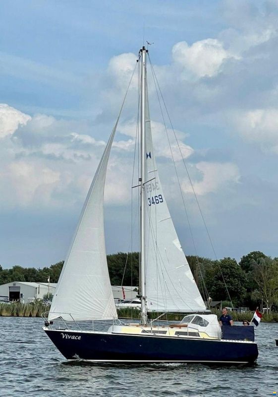 Koopmans 29 Alusail