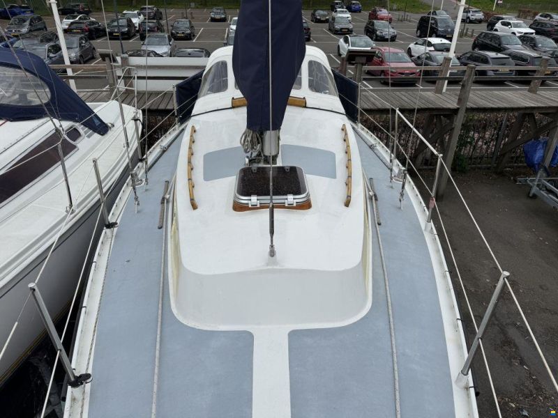 Koopmans 29 Alusail