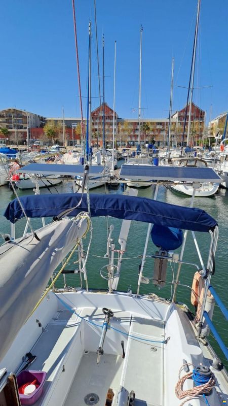 Dufour 31