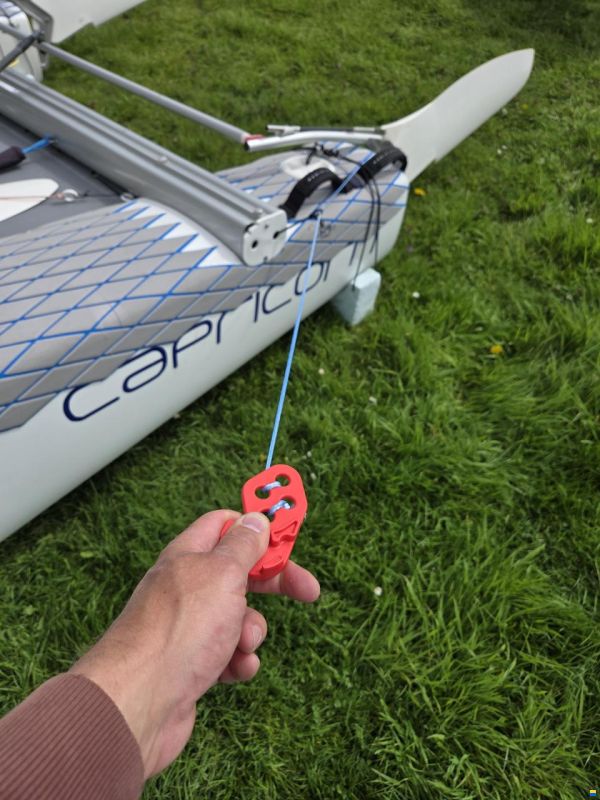 F18 Capricorn AHPC Goodall Cat