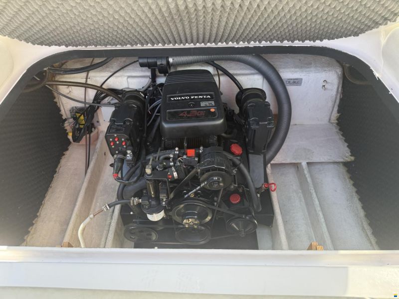 Tullio Abbate Sea Star 22