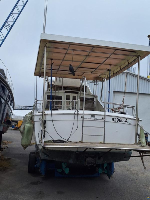 Chris Craft 31 Commander Sport