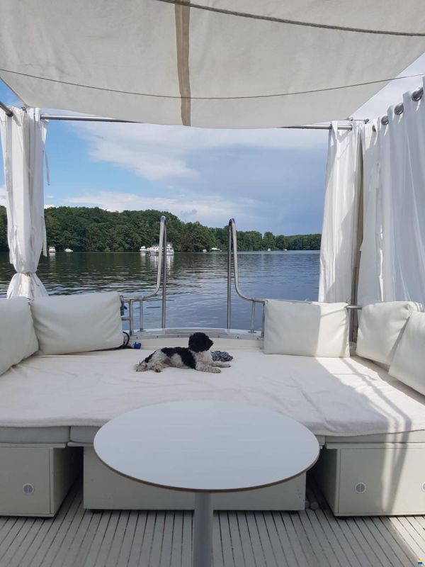 Chris Craft 31 Commander Sport