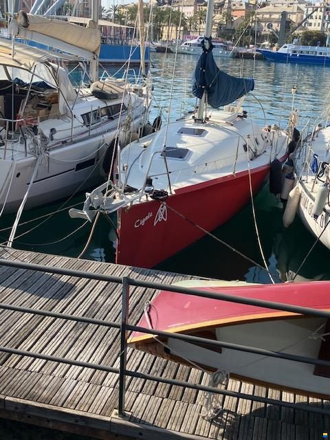 Sintesi 36