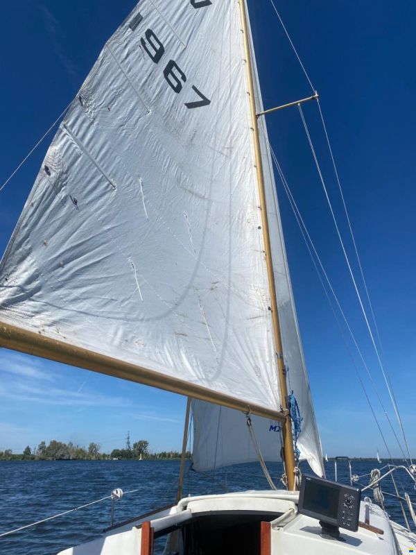 Albin Vega 27