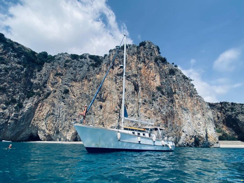 Moschini