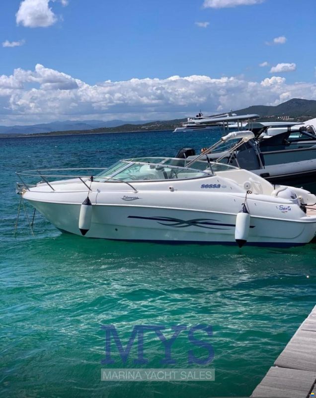 Sessa Islamorada 23'