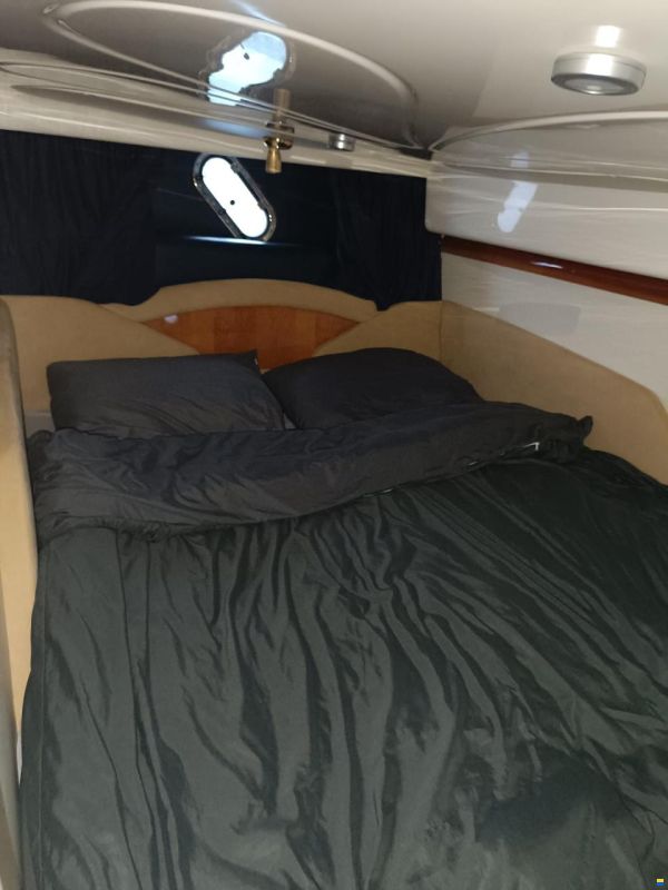 Cranchi Endurance 41