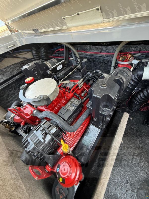 Stingray Cuddy 225 SX