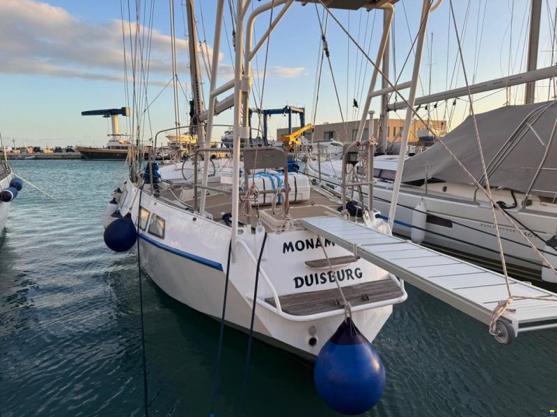 Reinke Hydra 48
