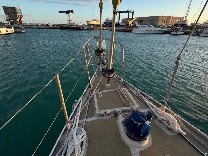 Reinke Hydra 48