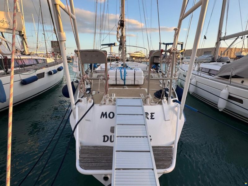 Reinke Hydra 48