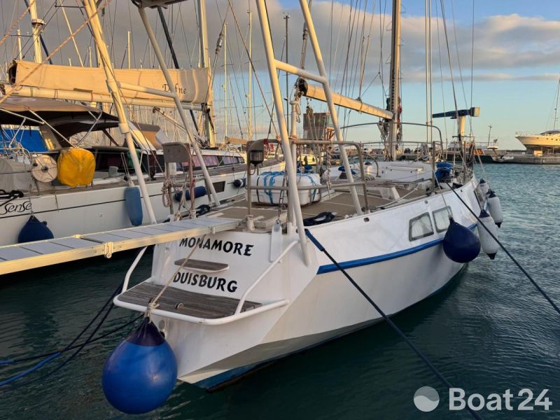 Reinke Hydra 48