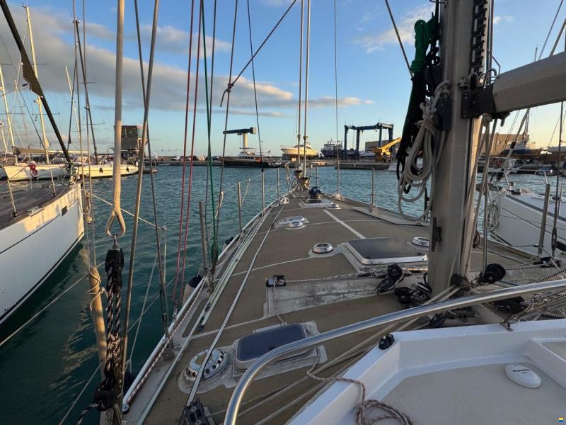 Reinke Hydra 48