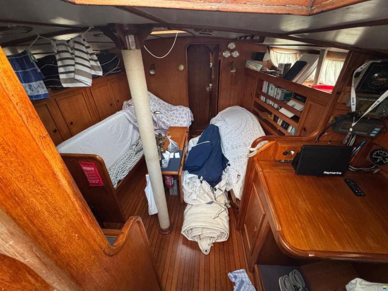 Reinke Hydra 48