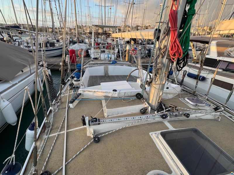 Reinke Hydra 48
