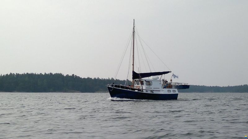 Troolarityyppinen