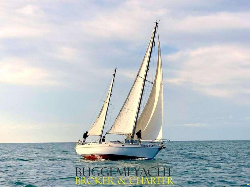 Alpa 42 KETCH