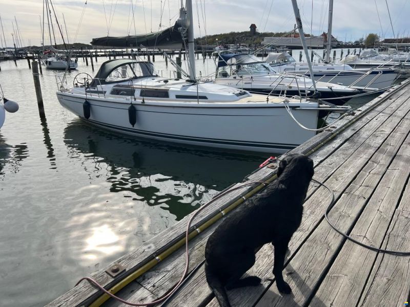 Hanse 345