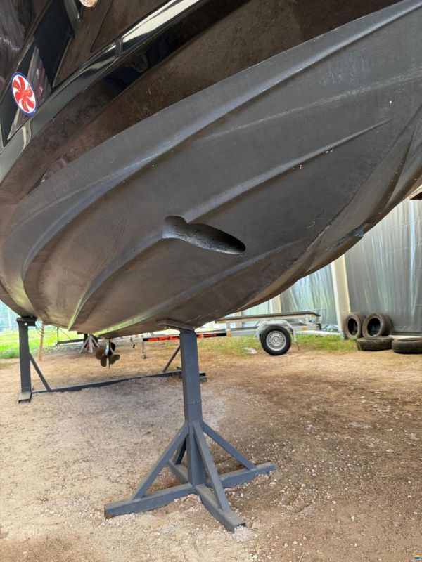Sea Ray SDX 250