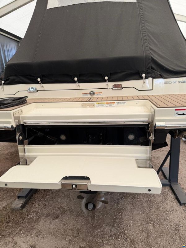 Sea Ray SDX 250
