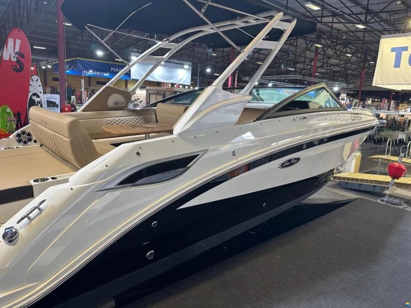 Sea Ray SDX 250