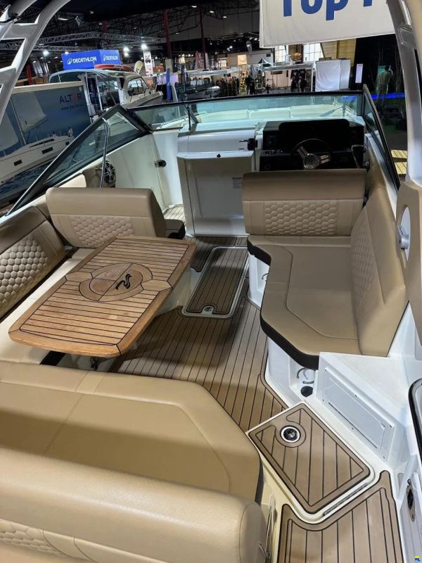 Sea Ray SDX 250