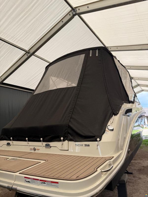 Sea Ray SDX 250