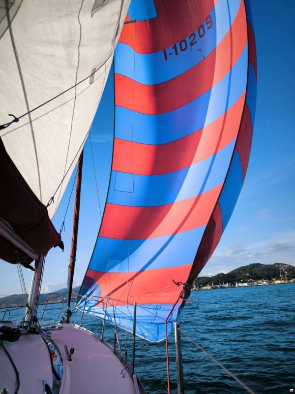 Delphia 28 Sport