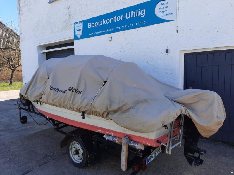 Ibis Ibis