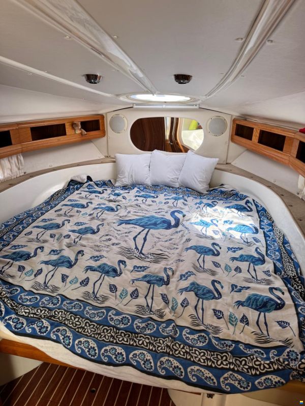 Bavaria 29 Sport - 2 x 4,3 GXI Duoprop